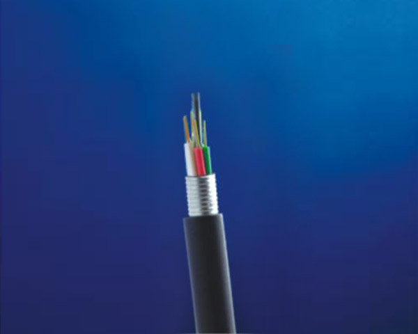 SW-3050B