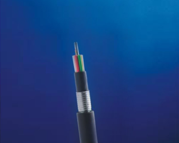 SW-3050G