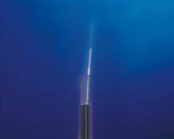 SW-3050L