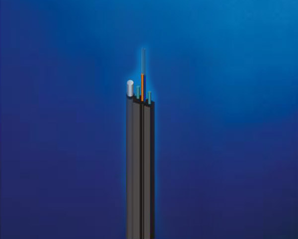 SW-3050M