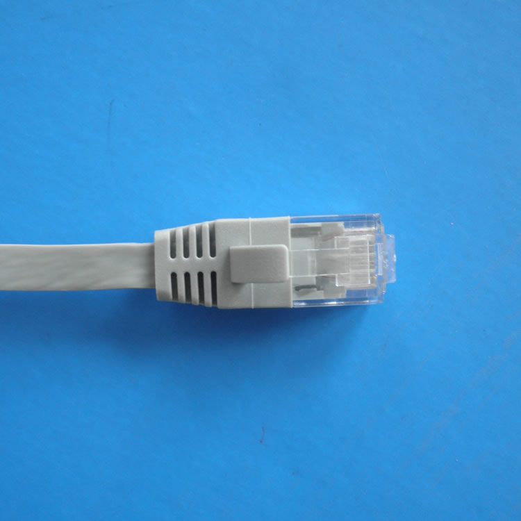 cat6