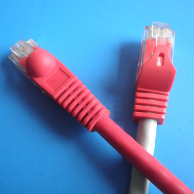 Cat6
